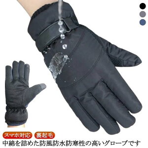 _E Ԃ Y d   N h h h X}zΉ g O[u 5{w ut ^b`pl   X