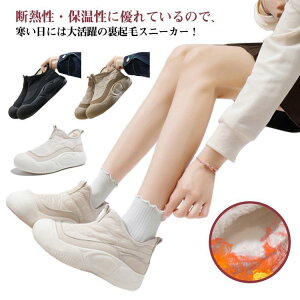 N Xj[J[ Xb| fB[X H~ V[Y Xm[u[c [gu[c  Xj[J[ O Ȃ h N V[g