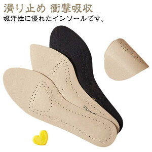 C\[ {v ~ z h pvX T_  \ Ch~ ~ Ռz C\[ Ȃ \tg NbV pv