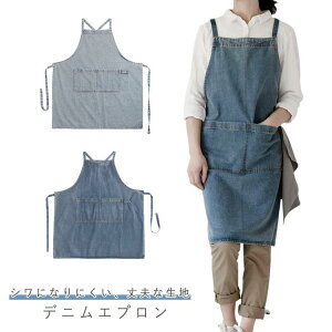 fjGv  H^Gv 100  @\|Pbg jp fB[X Y \ ɂ ƃGv E