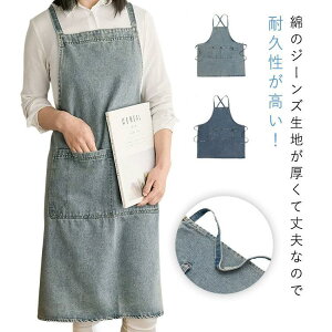 fjGv  H^Gv 100  @\|Pbg jp fB[X Y \ ɂ ƃGv E