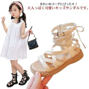 T_ V[Y LbY WjA ̎q q X|[cT_ qC xr[ LbYT_ kids r[`T_ qǂ qp AEg