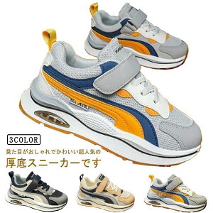  _bhXj[J[ Xj[J[ LbY ̎q j̎q V[Y  [XAbv ₷ ₷ ^ TCY LbY WjA