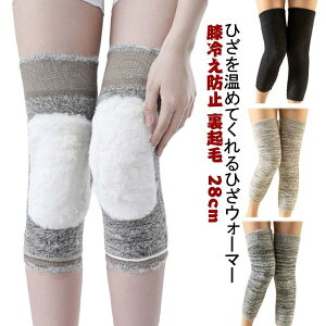   GEH[}[ jbg N GT|[^[ ۂۂ  Ng 28cm ۉ h Sn悢 O Xgb` G