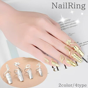 lCO fB[X w  S[hJ[ Vo[J[ `bvO p[eB[  v[g Mtg