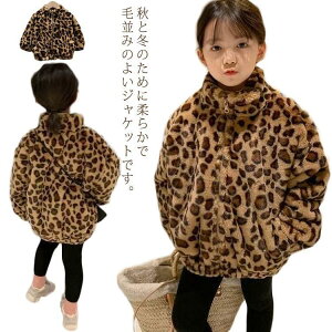 q {Au]  {A WPbg {AR[g ؍ LbY qE  t@[ {At[X  Ԃ xr[ AE^