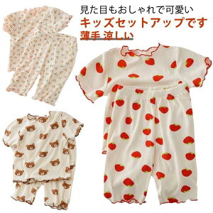 xr[ ZbgAbv LbY ̎q j̎q q pW} tVc  n[tpc Y{ ؍q ĕ    