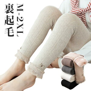 ^Cc LbY ̎q jbg^Cc N tH~ q 㕪pc Y{ XgbLO MX WjA ؍q xr[  {g