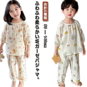  iCgEFA _uK[[ LbY Rbg ㉺Zbg LbY 2dK[[ gbvX Y{  [΍  Ԃ邾 