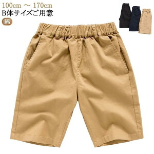 5 XN[pc  w S Y{  Rbg EGXgS  n[tpc w LbY O[ m[AC ʊw w