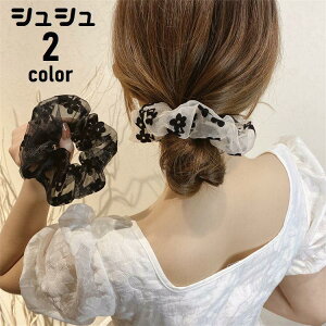 VV wAS fB[X   ܂Ƃߔ wAANZT[ wAAW S V[X[  ԕ t[  