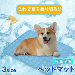 ybg}bg ėp ⊴}bg ڐG⊴ Ђ }bg  L ybg Ђ ⊴pbh ybg}bg N[}bg p}bg