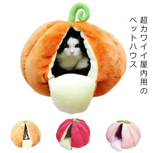 ybgnEX LbgnEX hbNnEX ڂ ݂ L  ^ ^ LnEX h[^ NbV LnEX  h[xbh L