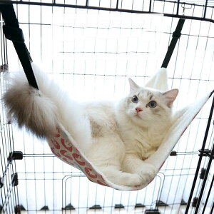 LpnbN ݂艺 nbO xbh Q tbNt 傫߃TCY 킢 P[Wp LObY Lp  t  H ~ ybgpi