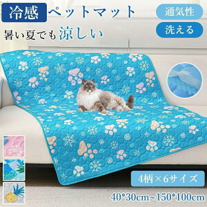 ybgp N[}bg ڐG⊴ 􂦂  O Ђ NbV ې􂢉 傫TCY ^ ^ ^ Lp p   ΍ 