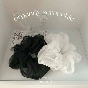 I[KW[VV ؍ fB[X Vv {[   gh J` wAANZT[ ܂Ƃߔ ؍ wAS