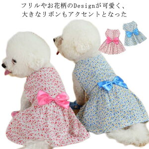  hbOEFA LbgEFA  L  L pEFA LpEFA ̕ L̕ ybgEFA ybg ybgpi s[X m