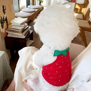   t AChbO ĕ ėp ̕ gCv[h _bNX ` hbOEFA