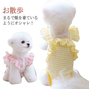 /^pIcJo[ ppc Tj^[pc }i[EFA   t ybgObY ybgpi  }[LOh~ g