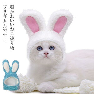   Xq 蕨 p Lp 蕨 ybgp  ϐg Ȃ肫 }WbNe[v e eN ETM 킢 t Ԃ