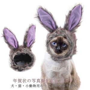  ybgp  蕨 Ԃ p Lp Xq ybg  ϐg Ȃ肫 e }WbNe[v eN ETM 킢 