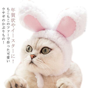  ybgp  Xq ybg 蕨 Lpϐgقނ p Lp  RXv  Ԃ e }WbNe[v eN E