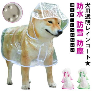 p t[ht C|` CR[g }g^ |`^ J hbOEFA  ~J΍ J CEFA Xqt p[J[ 