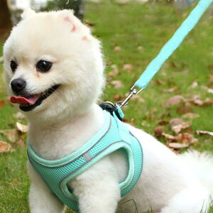   n[lX  ^ ^ ^ Ȃ Eɂ qh~ [h L ybg ^  EFAn[lX  Lbg