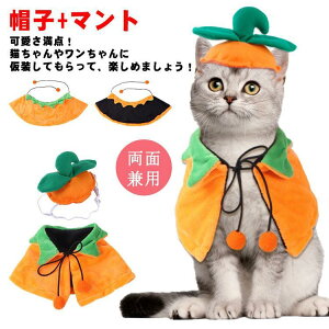 nEB RX`[ ybg  nEB ybg NX}X  L nEB NX}XX[ giJC RX`[ }g