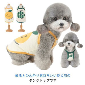 Ђ ⊴ N[ ybg ^Ngbv ėp      ĕ N[EFA ̕ R ` hbOEFA U 