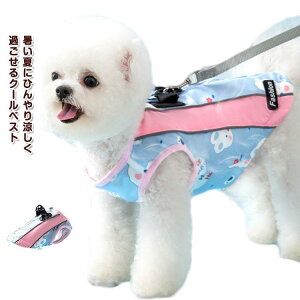 MǑ΍ Ђ  ЂxXg N[xXg t@Xi[J p ⊴  ⊴ ybg N[EFA  ybgEFA ^ 