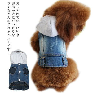 pxXg     ̕ xXg WPbg  O{^ fjxXg  t[ht W[Y g H ~ H~