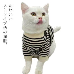 L XgCv ̕ L̕ p[J[ LbgEFA hbOEFA ybg Jo[I[  H ~ lR ˂ ^ g[i[ y