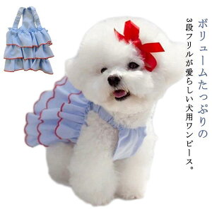 j̎q  ̕ s[X  t ̎q  m[X[u  킢 Ȃ L~[s[X hbOEFA m ybg