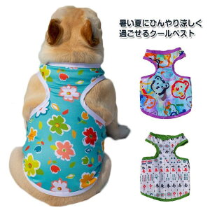  N[xXg Ђ ⊴ ybg   ЂxXg ybg ybgEFA MǑ΍ N[EFA ⊴ ⊴ ^ o