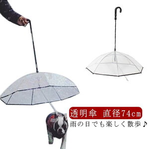  [h  `F[t Au ybgpAu P P [htP [hP pP ybgAu ybgpP p ^