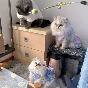 L  L  ybgEFA ybg LbgEFA hbOEFA 킢 tďH   Ȃ q qL ^ L lR 