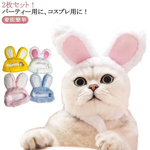  ybgXq RX`[ ybgpnbg lR L  Ck ^ ANZT[ CX^f Xk[h Ԃ蕨 ̎ Xq 