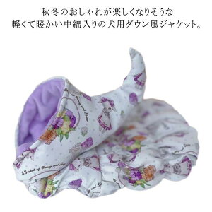   AE^[ WPbg  hbOEFA WPbg R[g  ~ ` _bNX v[h ̕ H~ ybgEFA  hbOEF