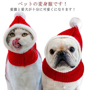  Xq T^X ybgXq T^Xq jbg Lp RXv ybg 蕨 jbgXq T^N[X T^ RXv L  NX}X