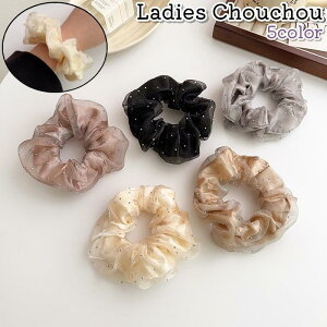 VV wAS fB[X  wl l S   wAANZT[  O[ J[LF CXg[  Vv