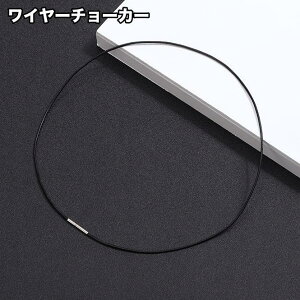 `[J[ lbNX fB[X  Y j ANZT[ C[ lW^Cv ANZT[p[c Vv  t@bV