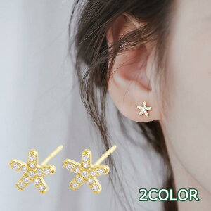 sAX X^bhsAX  ANZT[ fB[X  Ԃт t[`[t CXg[ tFCNXg[ Vo[J[ S[hJ