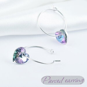 sAX t[vsAX O ANZT[ fB[X n[g CXg[ F Vo[J[ Ε  h 킢  