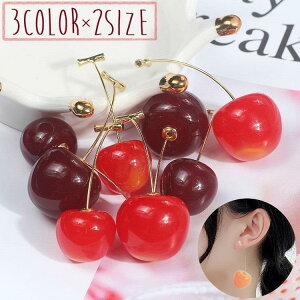 sAX X^bhsAX p fB[X  ANZT[   `F[ h obNLb` OsAX Vv 킢