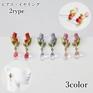 X^bhsAX CO fB[X p ANZT[  `[bv  t[ h  킢 