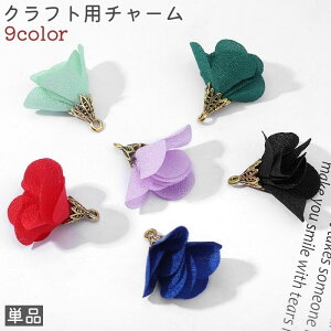 Ntgp`[ Pi fB[X  ANZT[p[c ANZT[  t[  Vv CO sAX  |