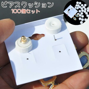 sAXNbV CONbV 100Zbg nhCh ANZT[pi ߋ dU ی h~ Lb`NbV 䎆