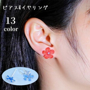 sAX CO fB[X ANZT[ X^bhsAX  t[ Ԍ^   JoLx  킢