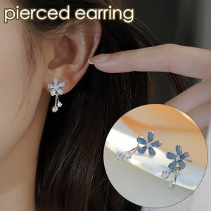 sAX X^bhsAX fB[X  ANZT[ Ԃ t[  CXg[  l t@bV v[g 